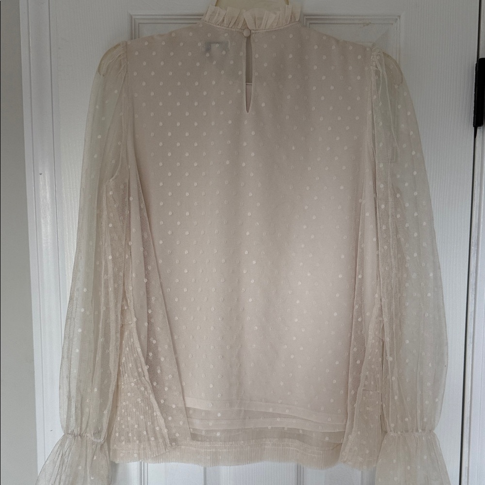Express Cream Sheer Ruffled Blouse - Picture 4 of 4
